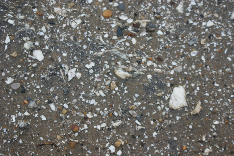 shell fragments in sand