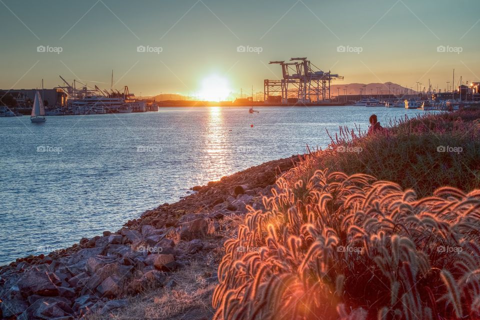 Sunset Sailing. Sail boat sailing in sunset. A person watching the sunset 