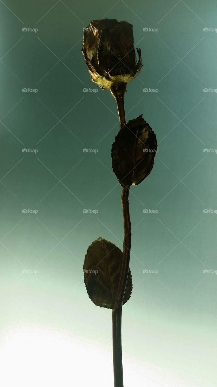 a rose by any other name... gold plated rose