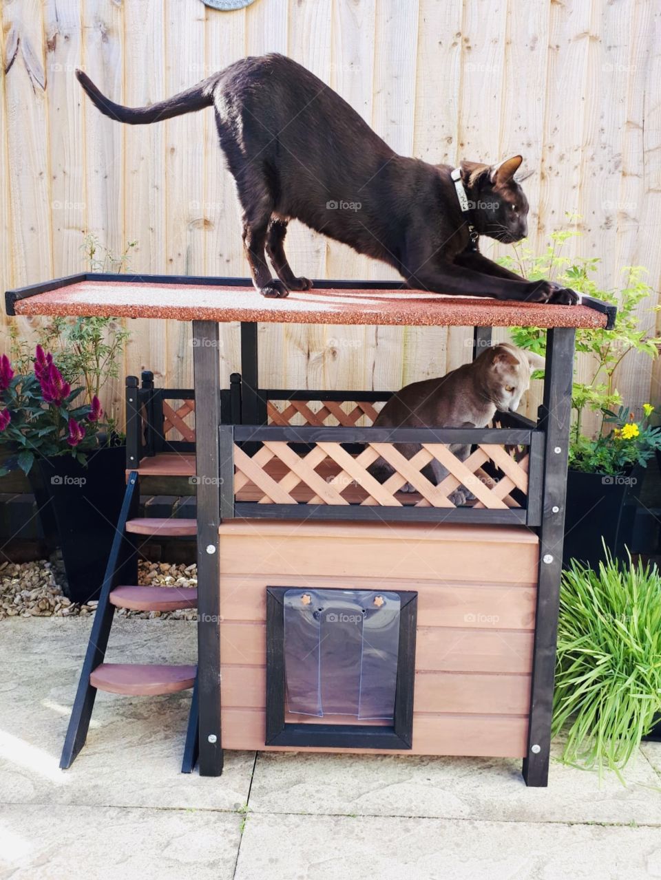 “You see what I see?