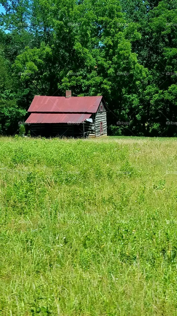 old cabin
