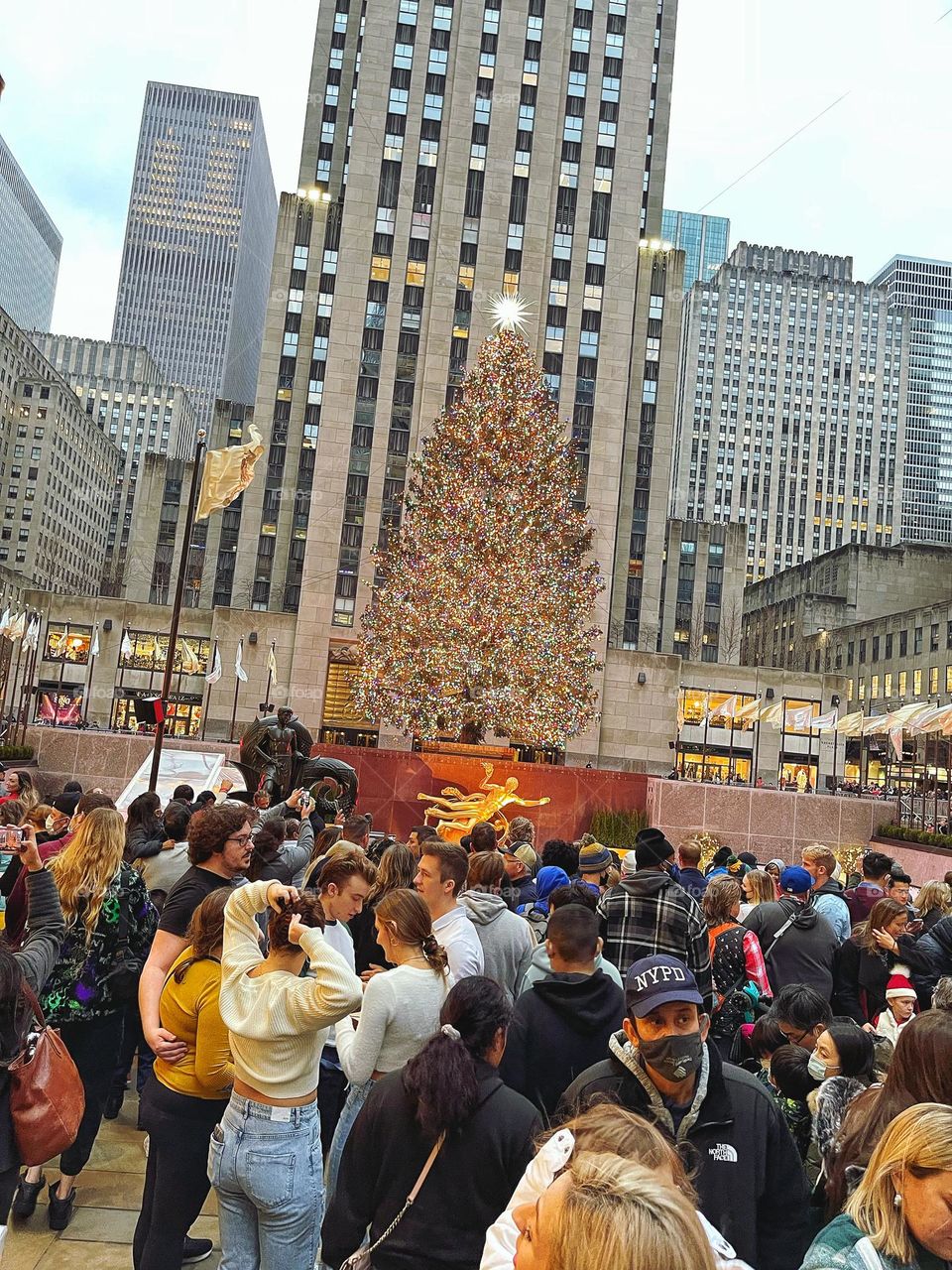 The tree at Rockefeller Center 