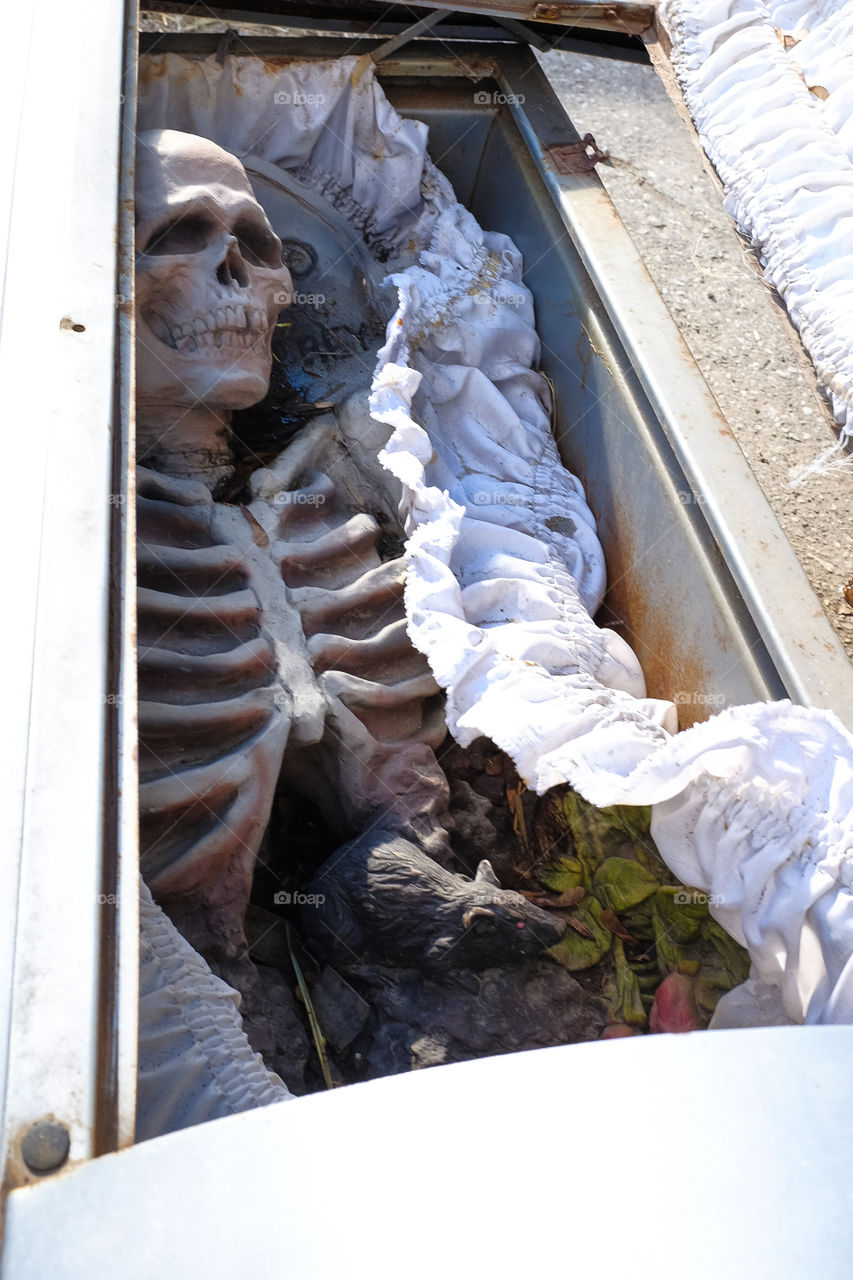 Spooky. Coffin with a skeleton 