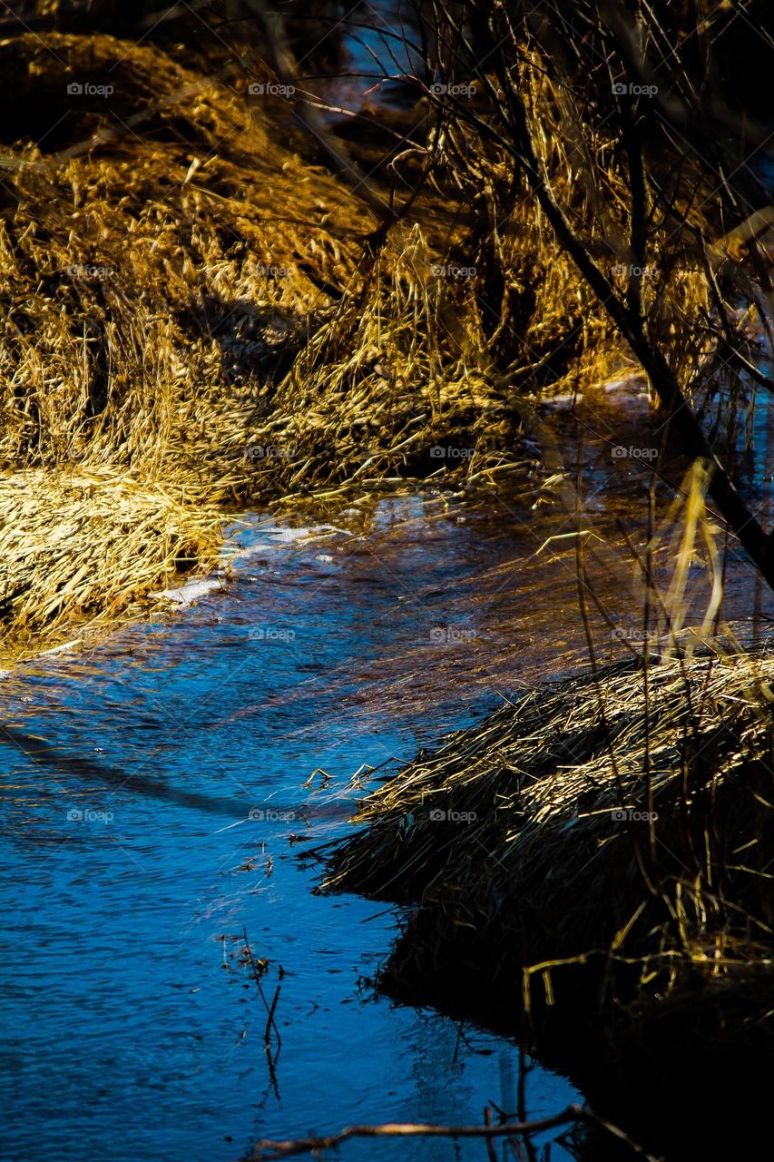 Spring creek flows