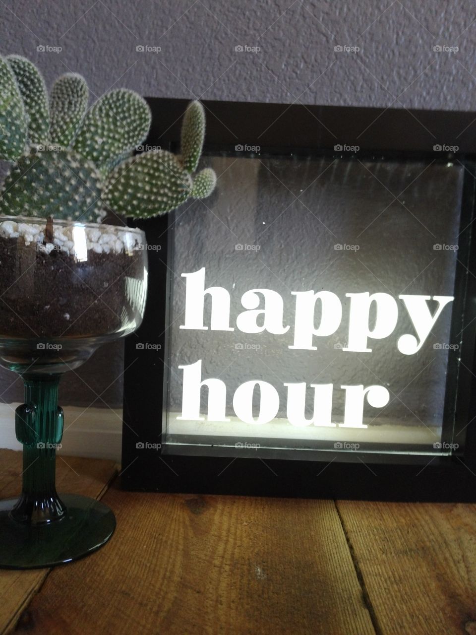 cactus succulent in margarita glass on wood bord and a gray wall lit up. prickley pair .