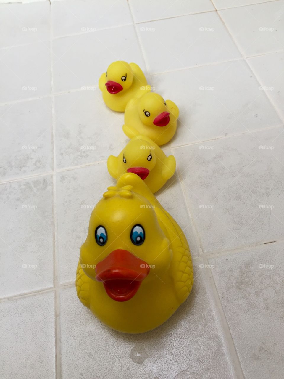 My ducks