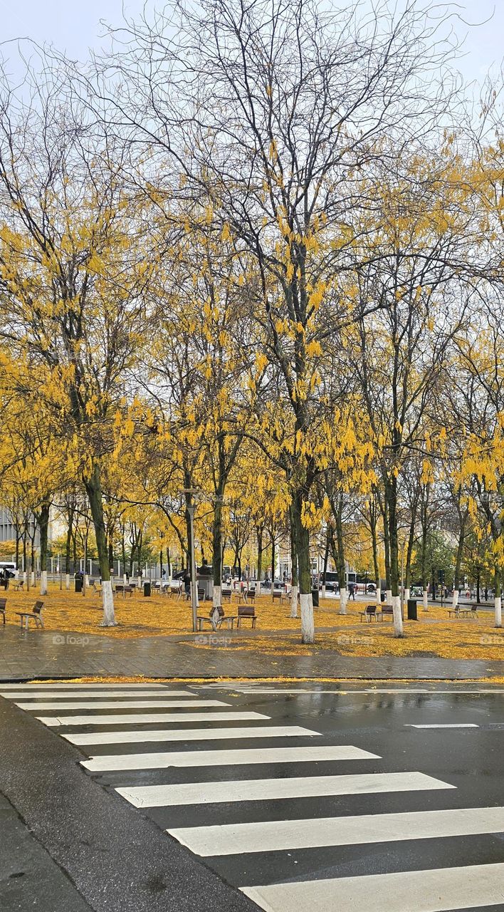 automne à Bruxelles