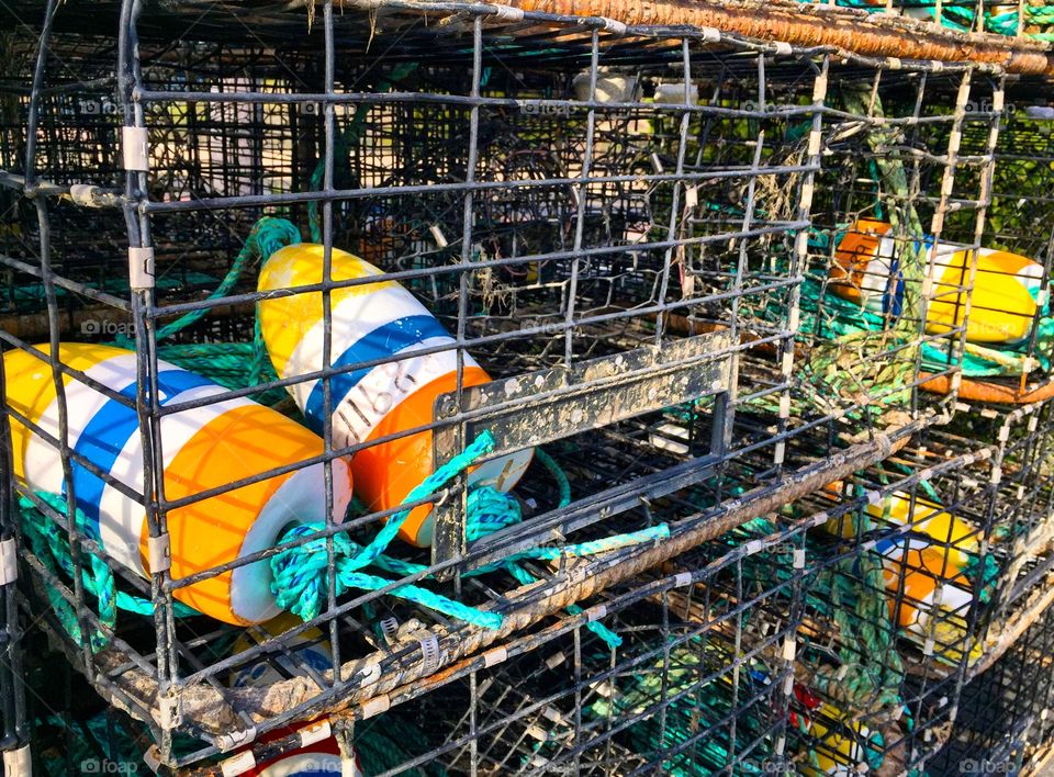 Lobster cage with floats