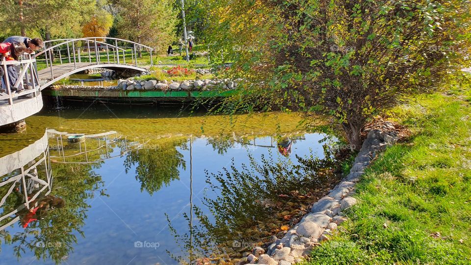 small pool in the park
