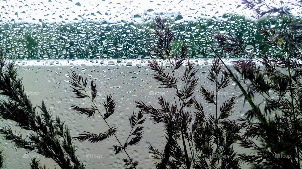 Rain outside the window