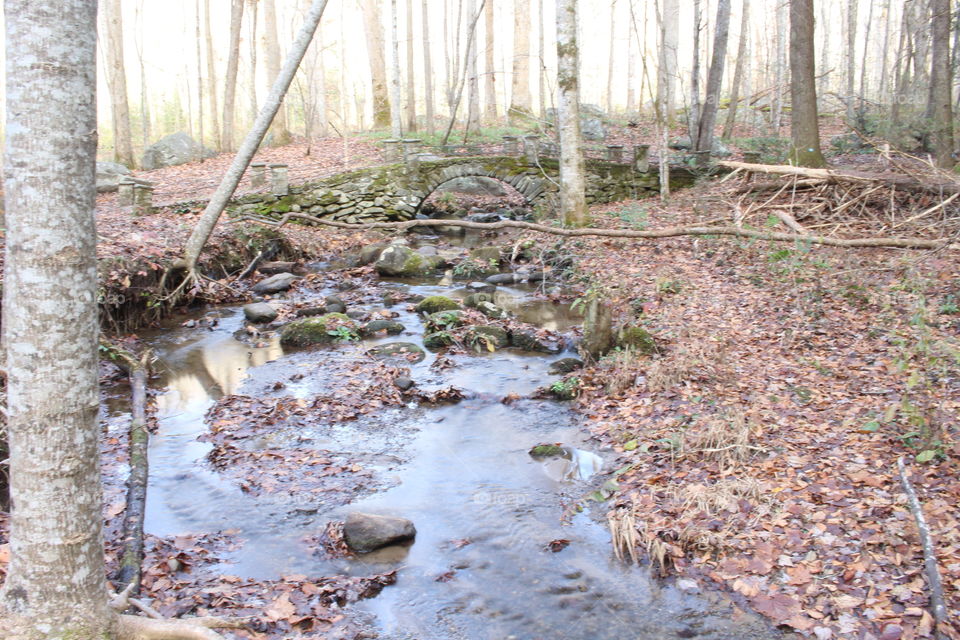 Elkmont bridge and creek