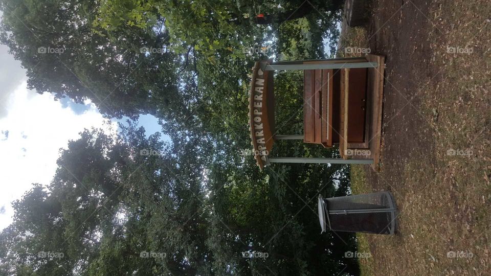 Piano in the park