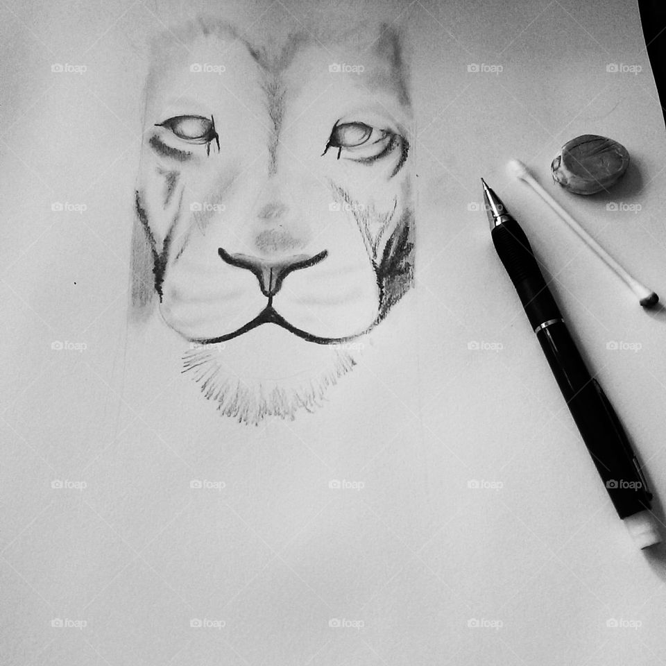 Lion Drawing