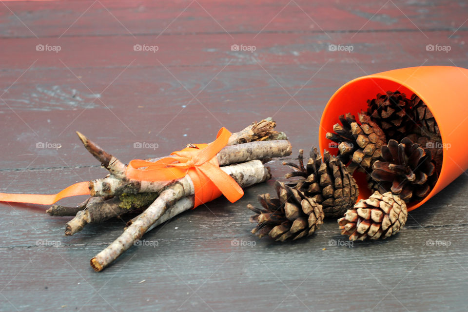 Vegetables, Halloween, pumpkin, corn, harvest, fertility, agriculture, food, cones, forest, birch branches