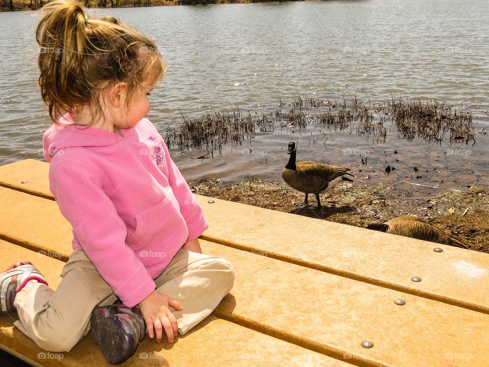 Little Girl With Goose