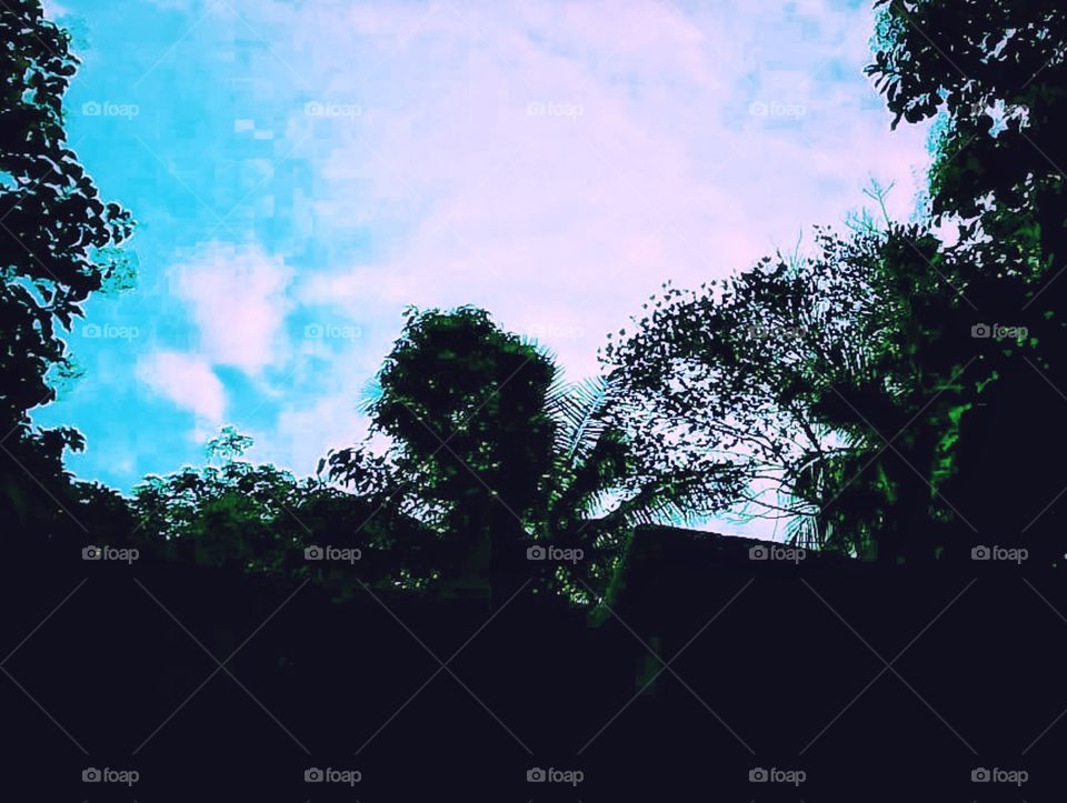 true nature and blue sky