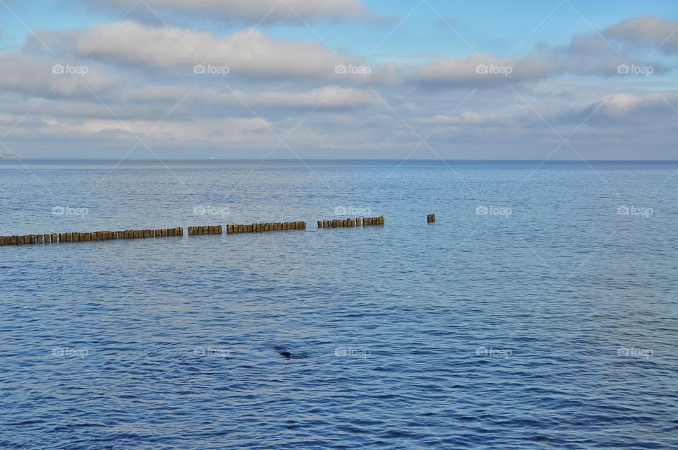 wooden sticks in the baltic sea in gdynia poland