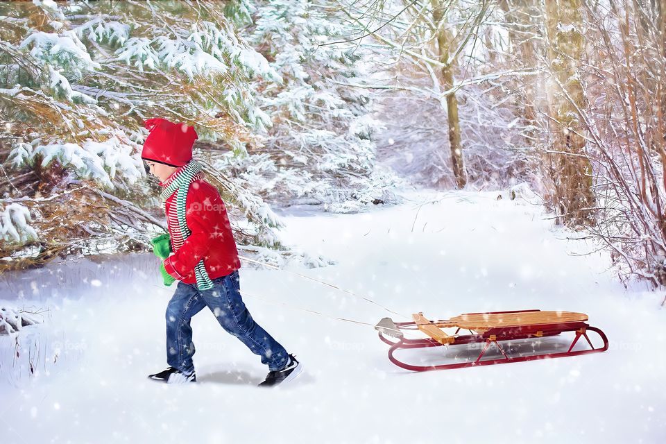 Boy pulling sled in snow
View of little boy in red jacket and hat pulling sled in snowfall.