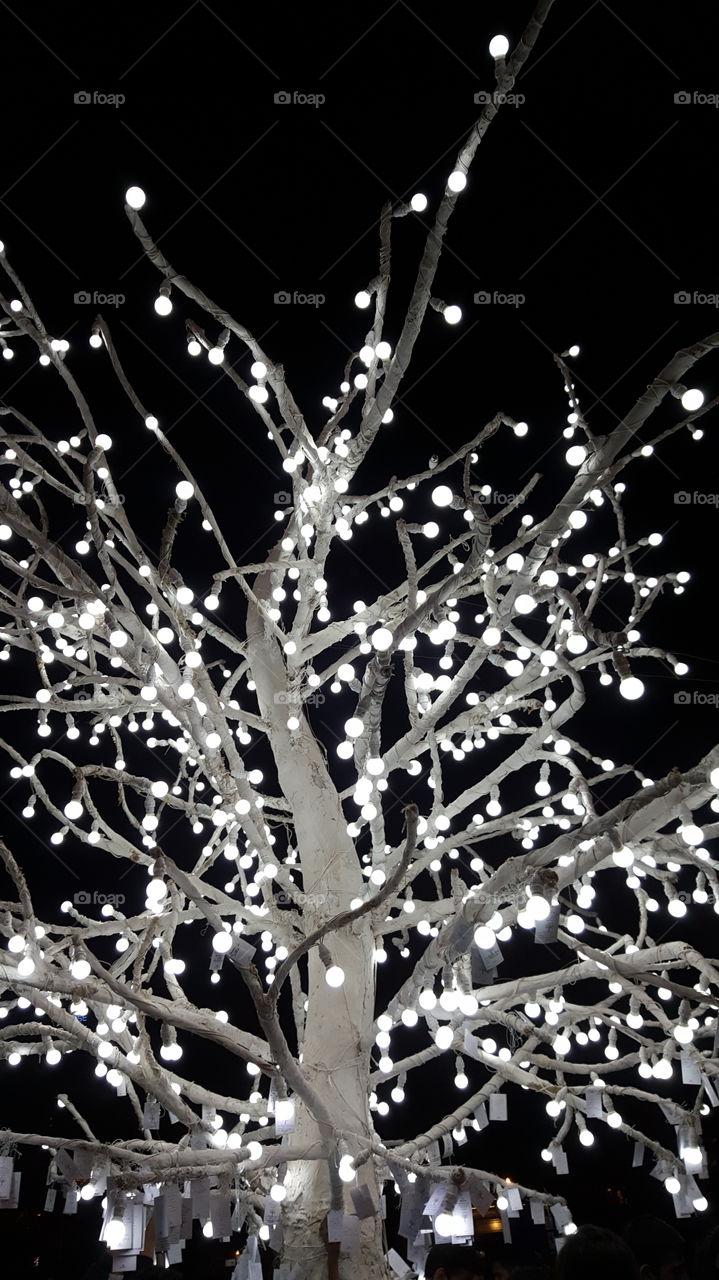 Lightbulb Art - Kala Ghoda Festival