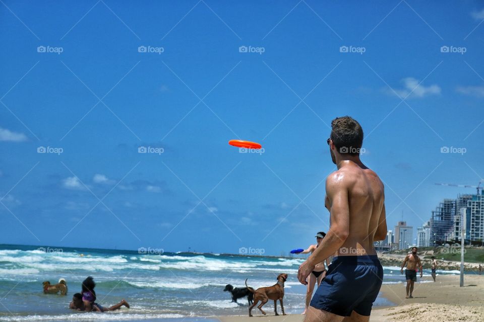 frisbi in the beach