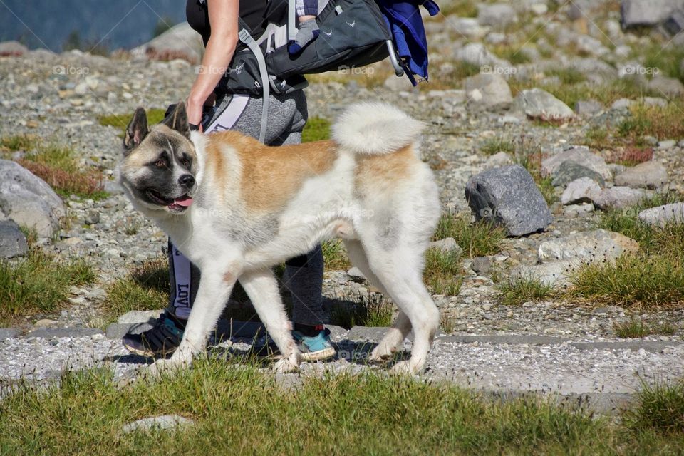 Walk in the mountains