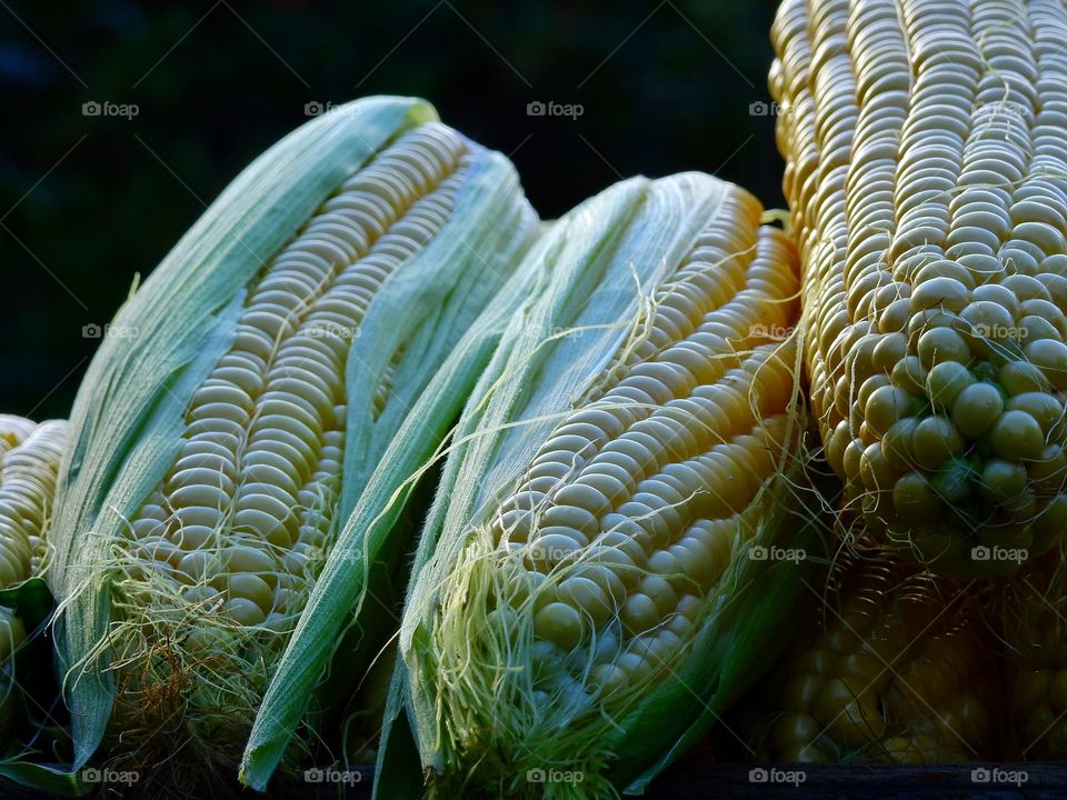 Close-up of corn