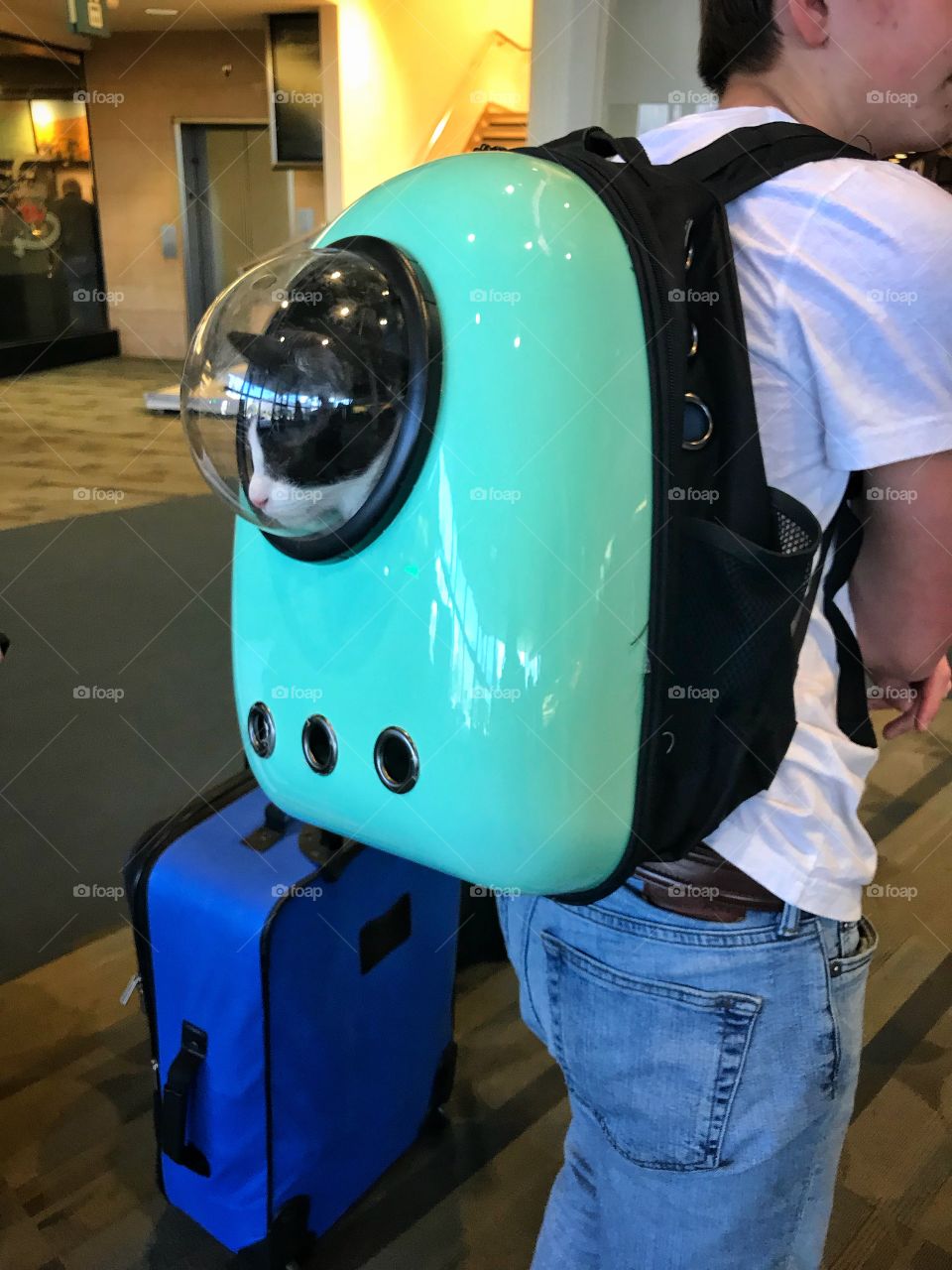 A boy carries his cat in a “cat-packer” backpack while traveling and flying.