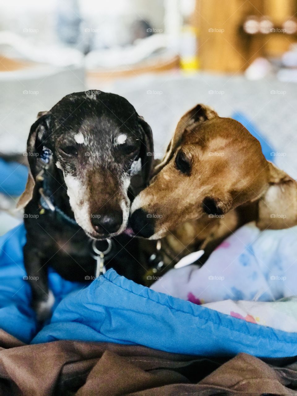 The mother and daughter’s time to take care of bath every day at home. 