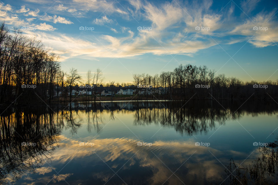 blue trees lake sundown by delvec