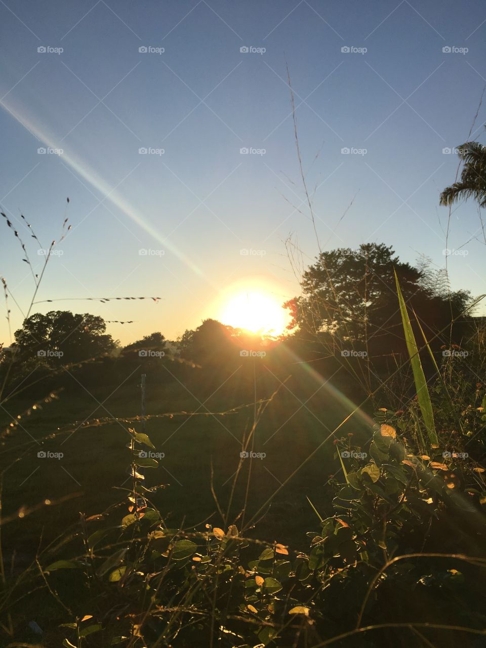 ✌🏻️Desperta, #Jundiaí!
Ótima Segunda-Feira a todos, com esse incrível #sol que acordou!
🌅
#sun
#sky
#céu
#nature
#manhã
#morning
#alvorada
#natureza
#horizonte
#fotografia
#paisagem
#amanhecer
#mobgraphia
#FotografeiEmJundiaí
#brazil_mobile