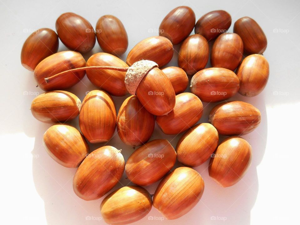 acorns heart