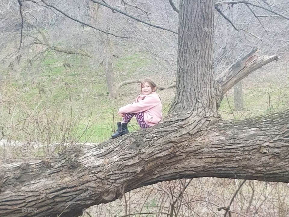 young girl sitting in a big tree