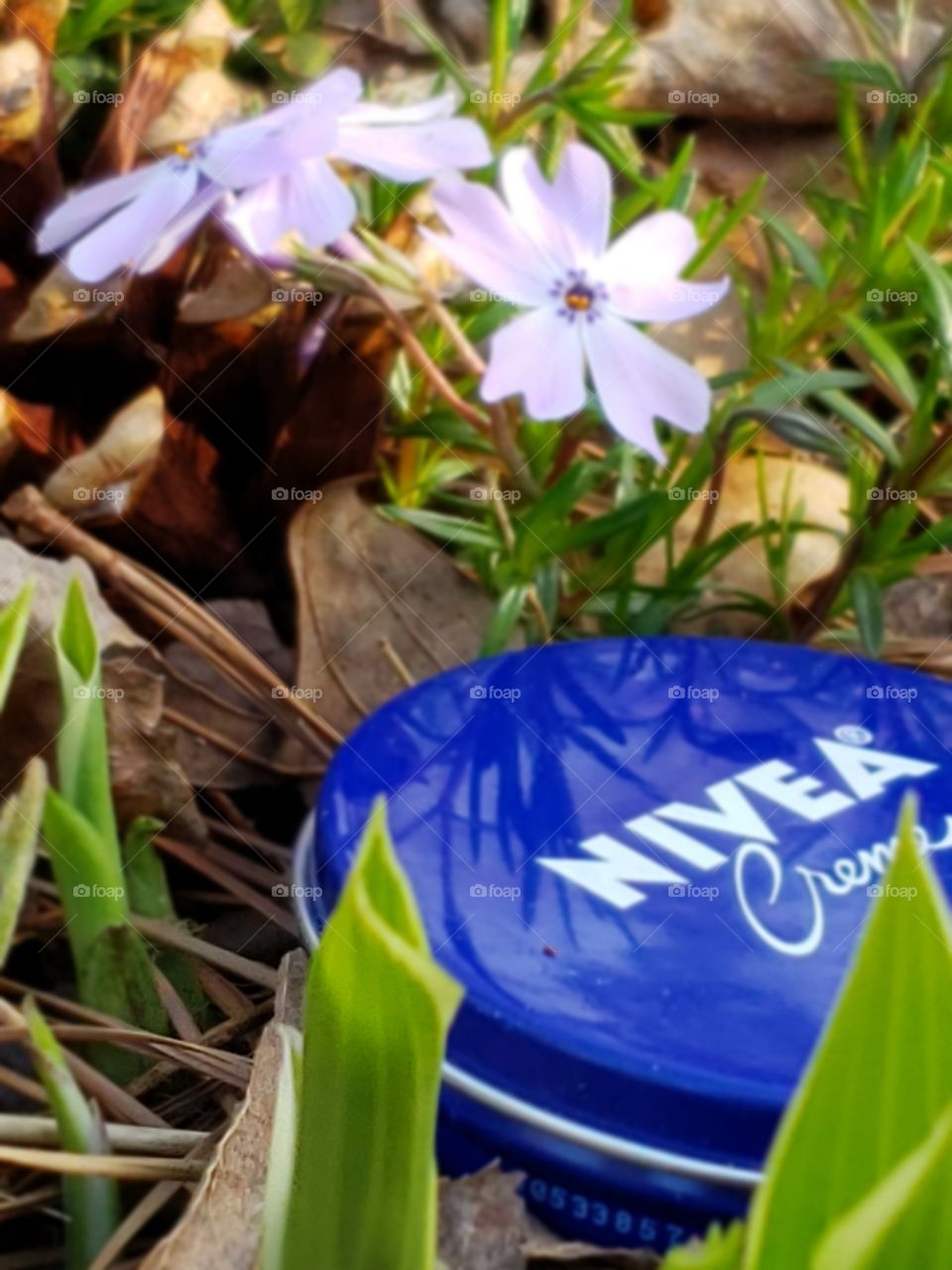 Spring and Nivea