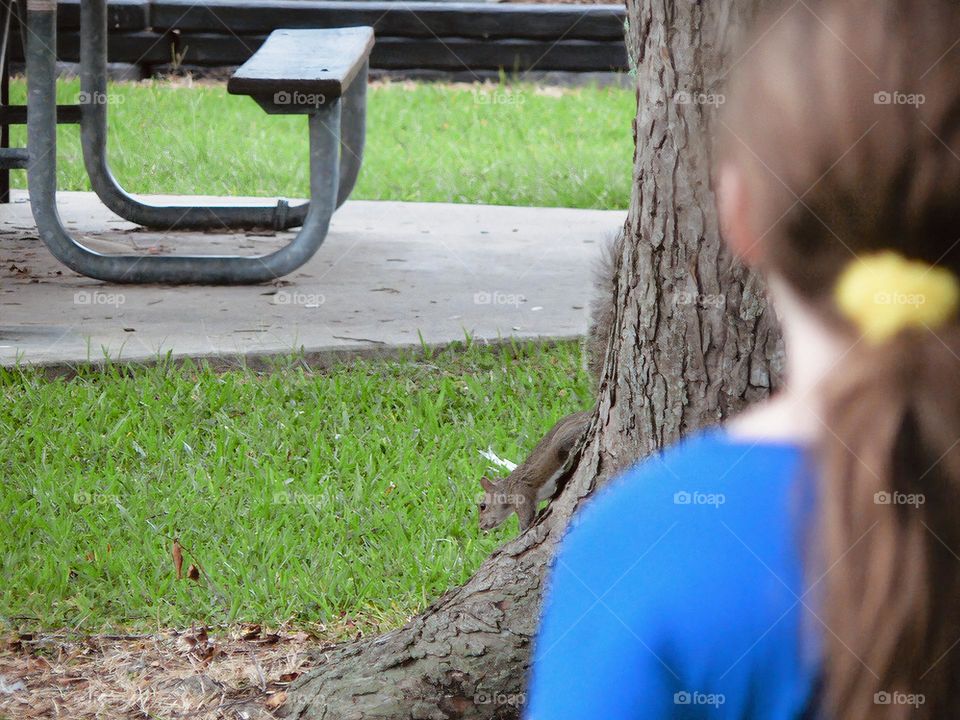 Child girl seen from her back, interacting with squirrels at the city park with squirrel going towards her from the tree.