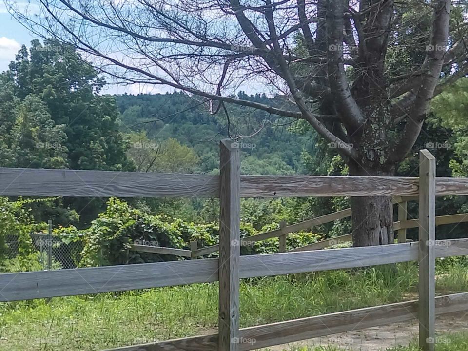 Alongside the high school parking lot, an old wooden fence separates the school property from other property which is made of wooded forest land, green hills, and mountains in Northwest Connecticut.