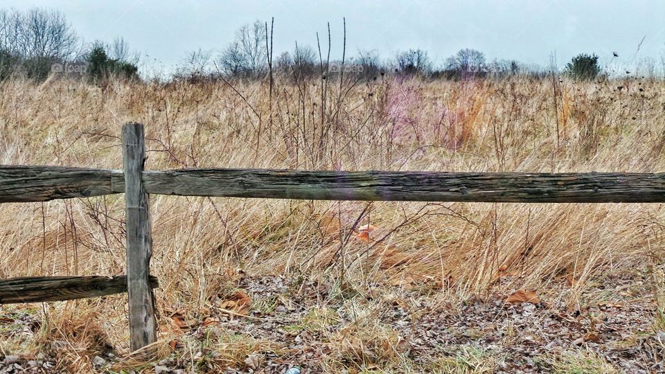 View of broken fence