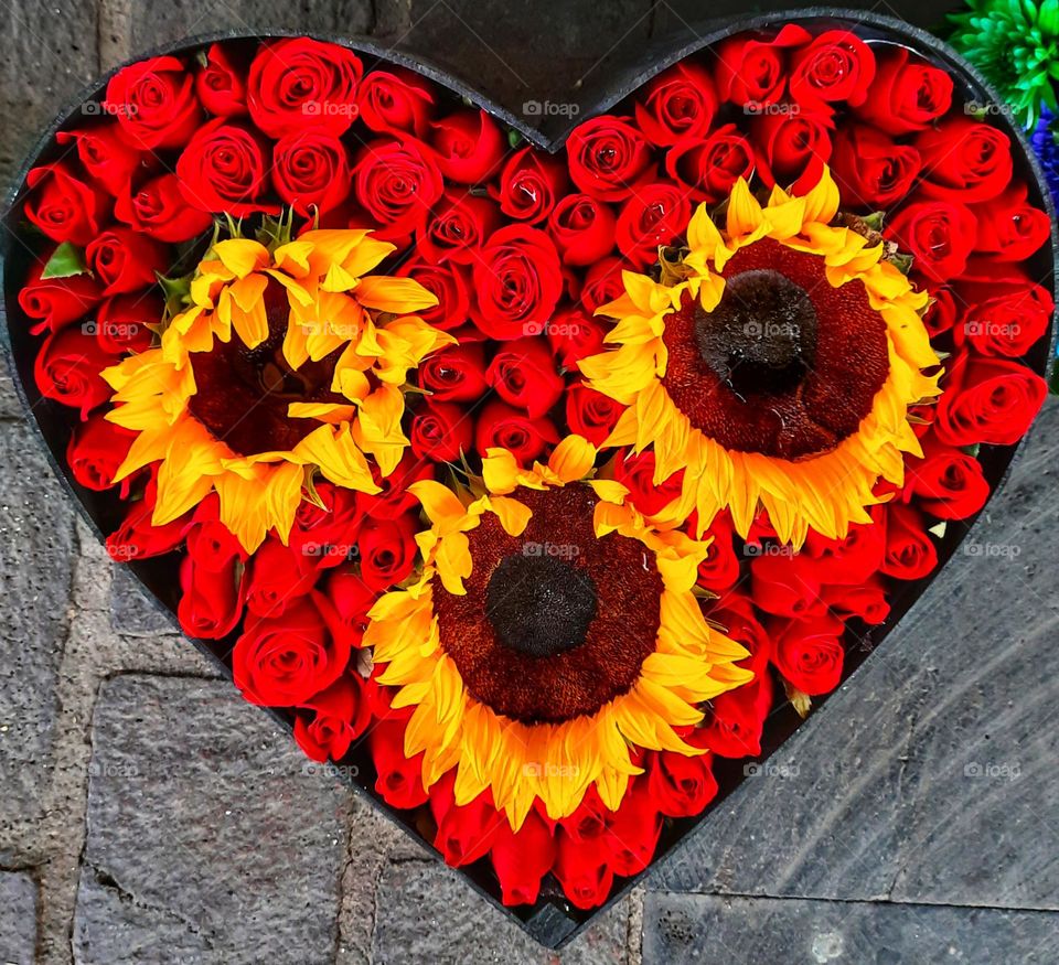 Heart of roses, Heart, roses, love, romance, valentine, roses, sunflowers, red, valentine