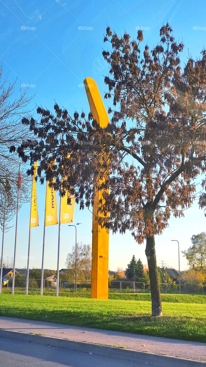 Ruduo ir geltona spalva