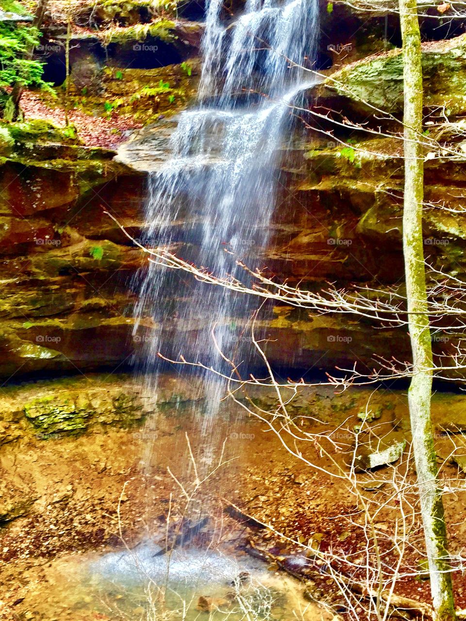 Beautiful waterfall in the woods