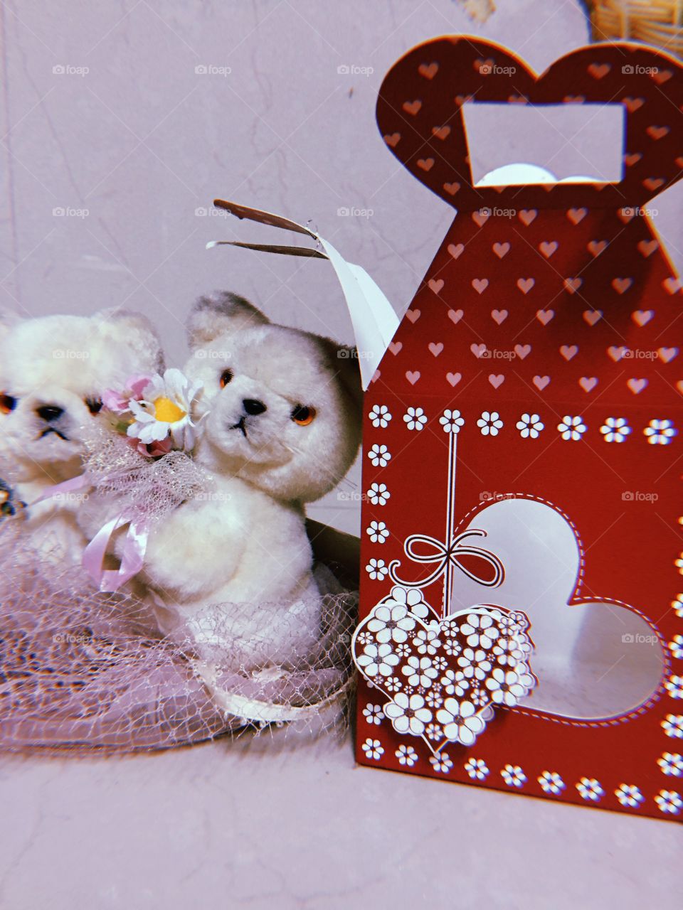 Bear heart valentines couple