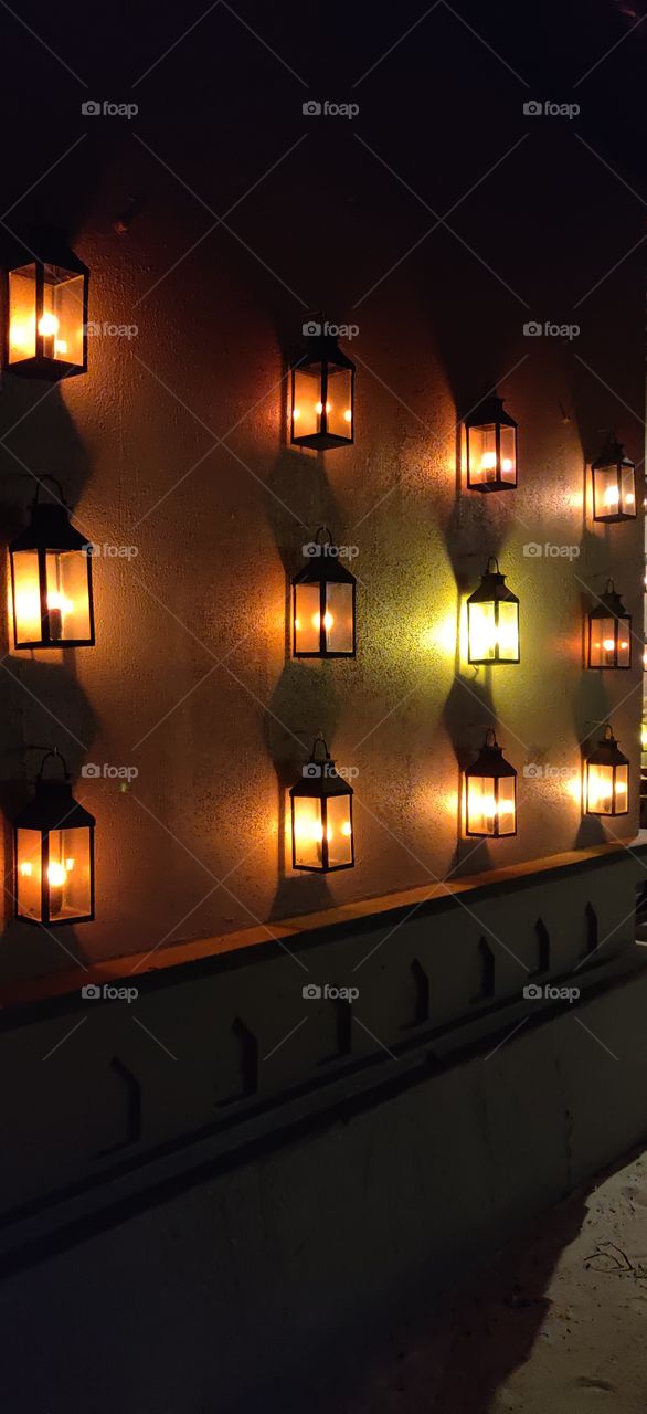 colors are the smiles of nature 🌱