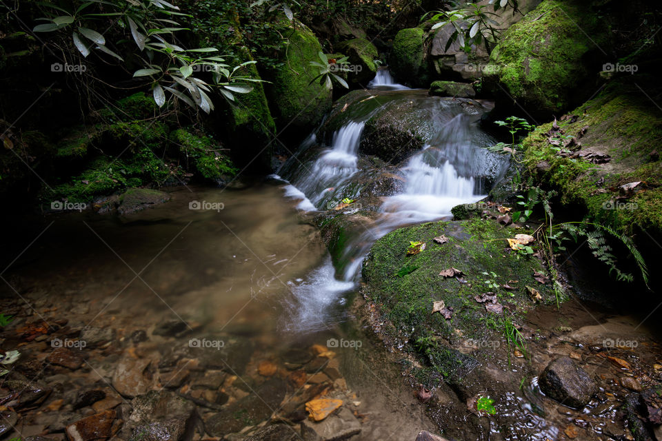 Long exposure stream in the forest