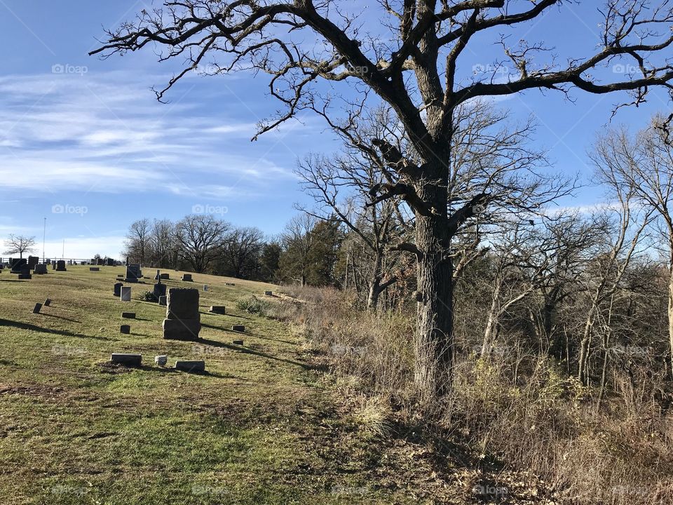 Cemetery 