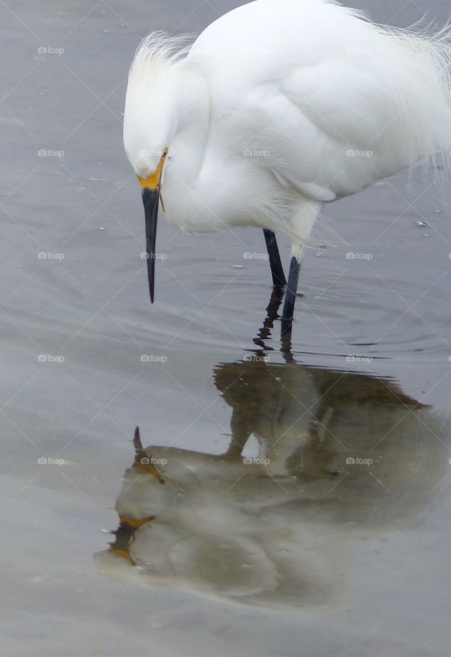 Gazing down reflection 