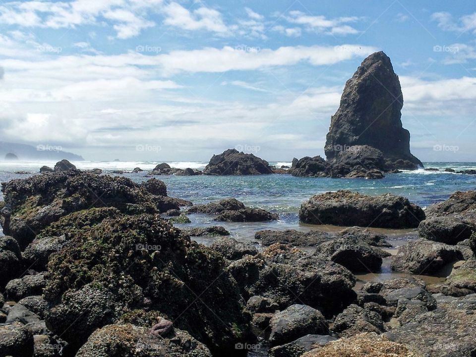 Oregon Coast