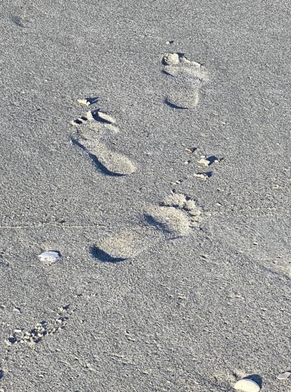 Footprints in the sand