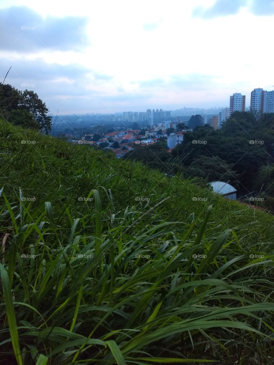 welcome foap: nature