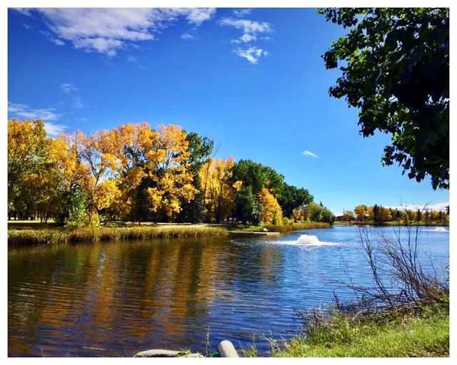 Fall at the lake