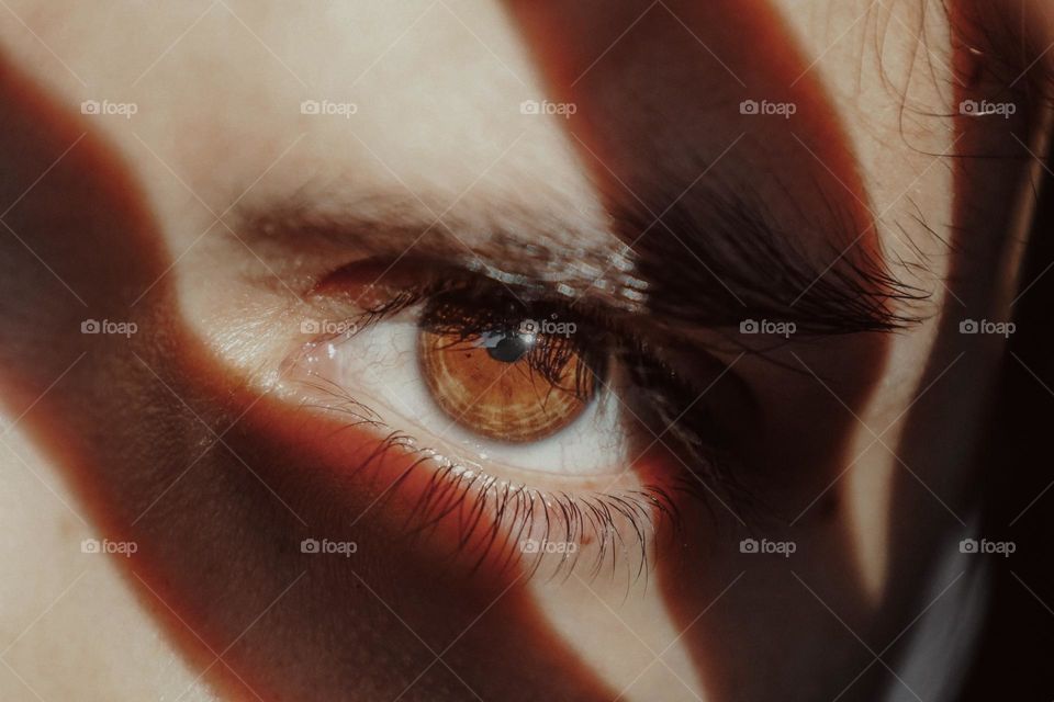 Close-up of human eye