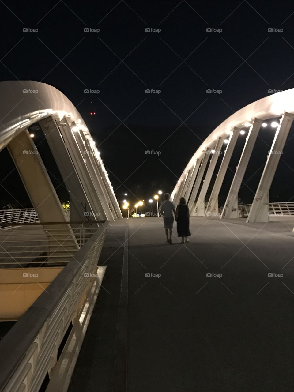 Modern bridge on the Tiber River